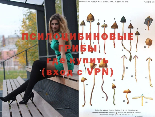 спиды Володарск