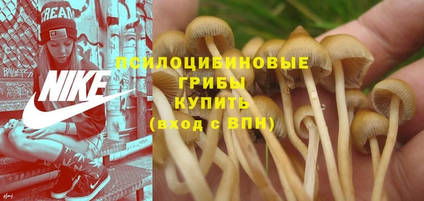 спиды Володарск