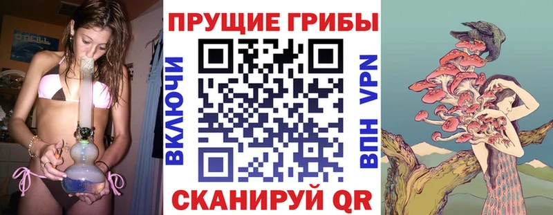 Псилоцибиновые грибы мицелий  Северская 